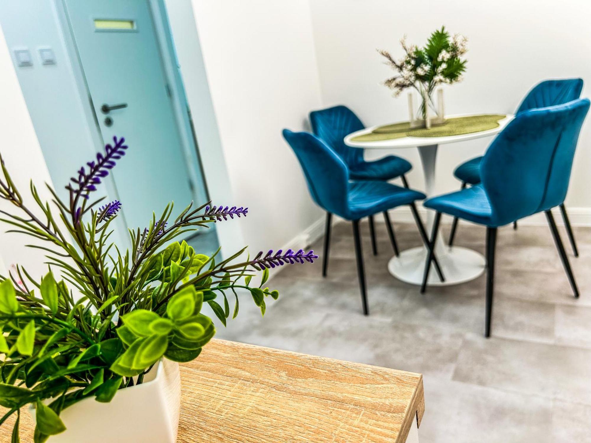 Villa Blue City Apartman Szekszárd Extérieur photo